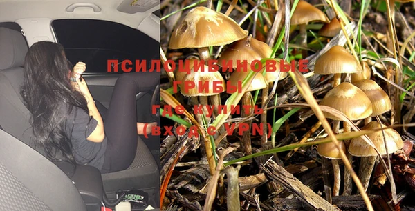 круглые Верея