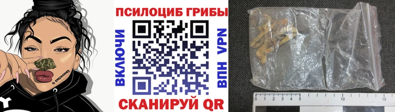 наркотики  Славянск-на-Кубани  гидра tor  Галлюциногенные грибы GOLDEN TEACHER 