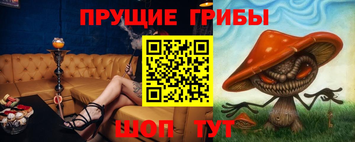 Славянск-на-Кубани  Галлюциногенные грибы MAGIC MUSHROOMS  Вход с VPN 