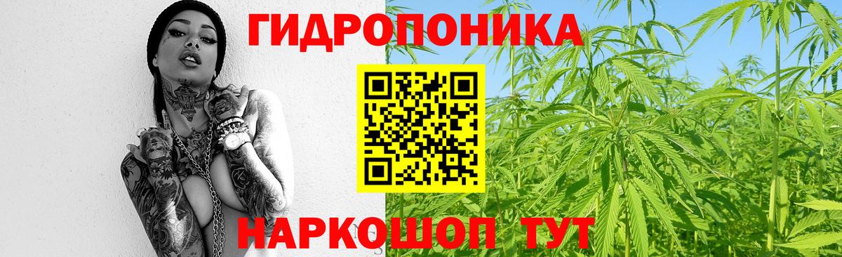 Каннабис White Widow Славянск-на-Кубани